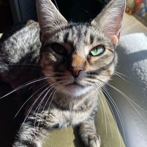 Meet your Posher, Jo